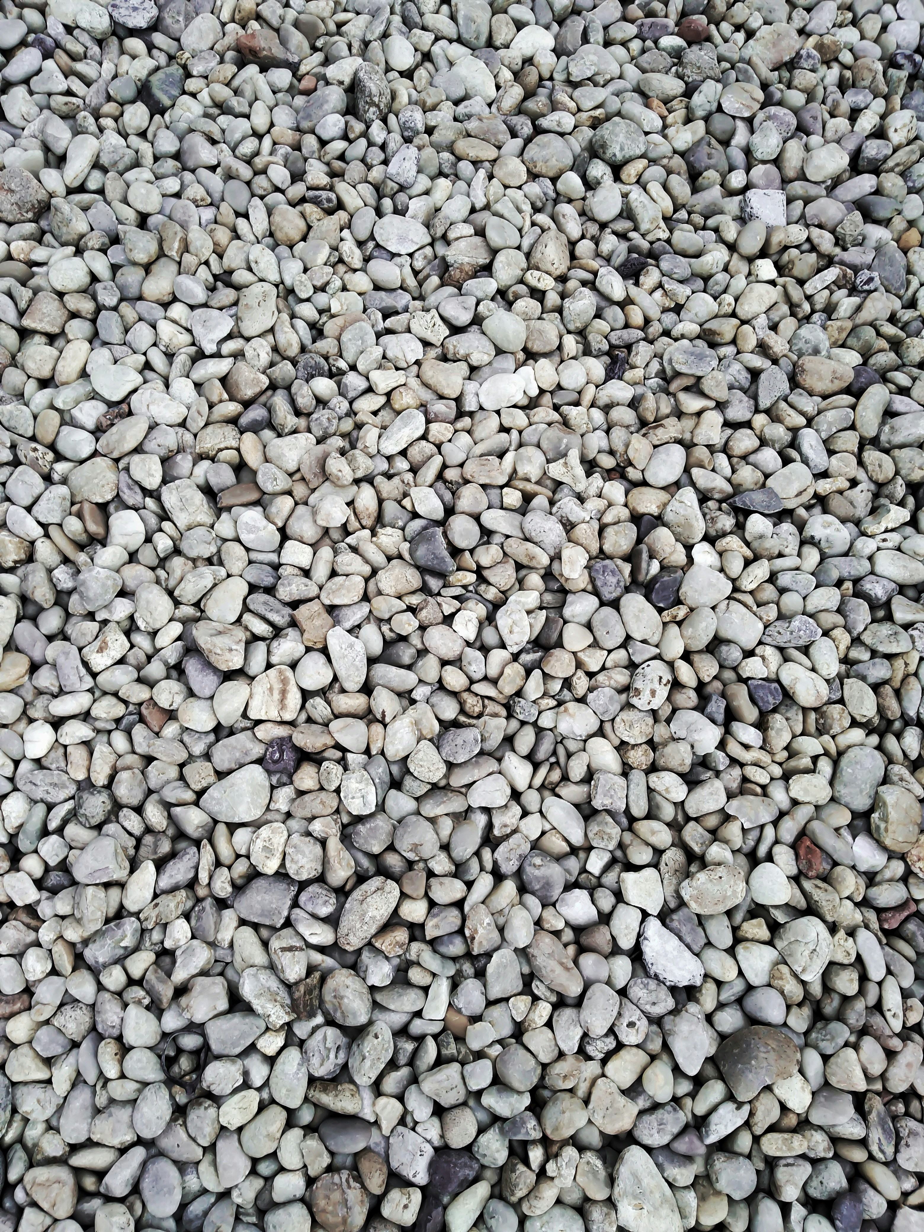 a bunch of rocks that are laying on the ground