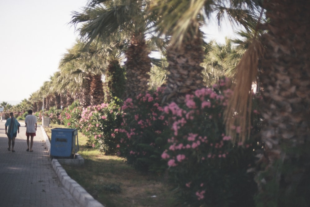 a couple of people walking down a street next to palm trees