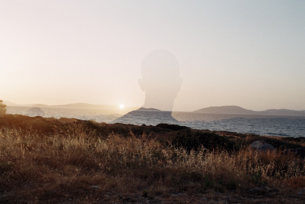 a person standing in a field near the ocean