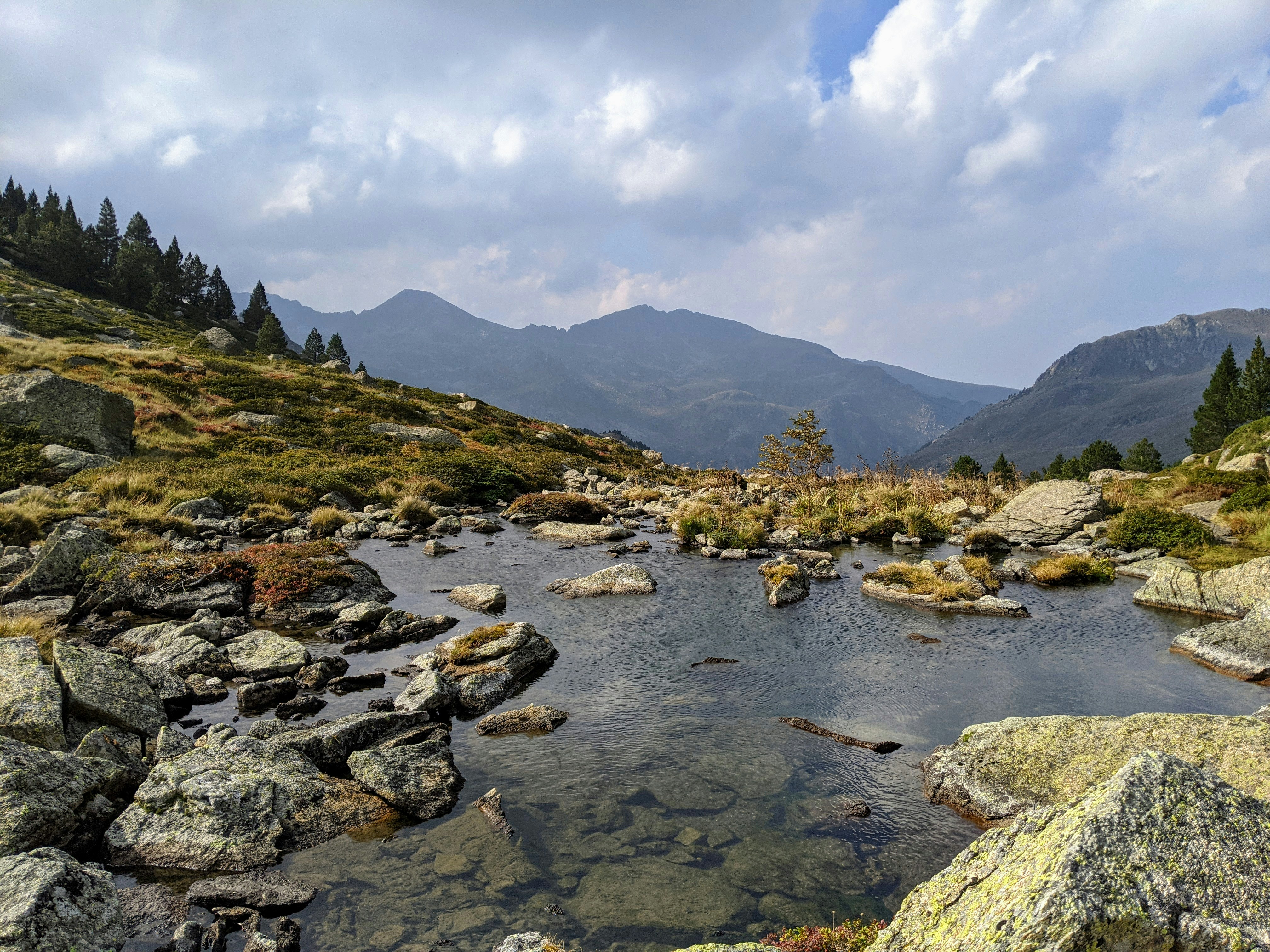 a stream running through a lush green hillside