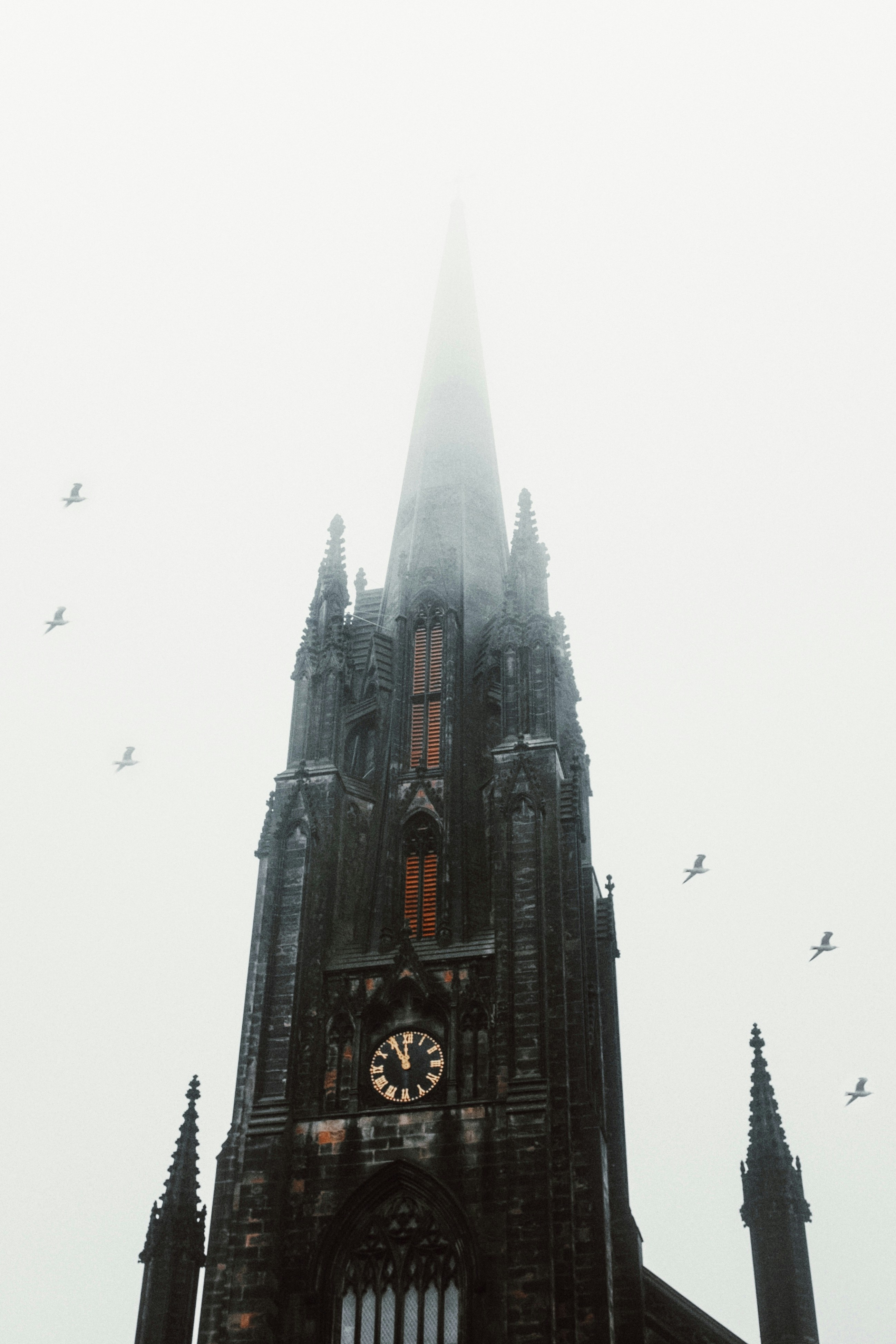 Photo by georgemcveigh