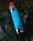 A stainless steel insulated bottle with a blue label and a red flip-top lid is situated among green foliage. The bottle appears to be designed for keeping liquids hot or cold and is partially obscured by leaves, suggesting an outdoor setting.