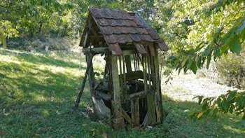 An old, weathered wooden well is nestled in a lush, green forest clearing. The well has a small, pitched roof made of worn shingles and is surrounded by vibrant foliage and dappled sunlight. The scene evokes a sense of tranquility and timelessness.