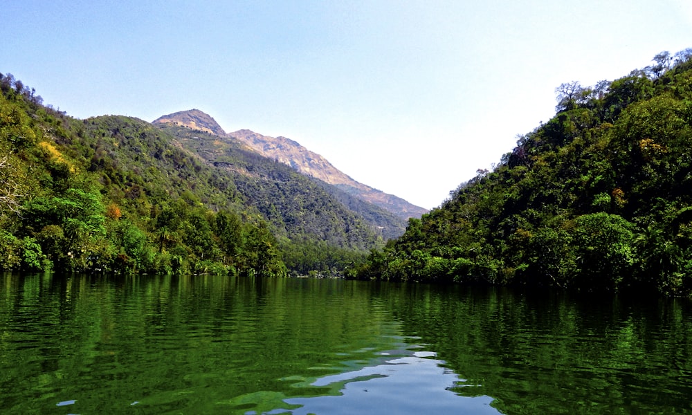 a body of water surrounded by trees and mountains