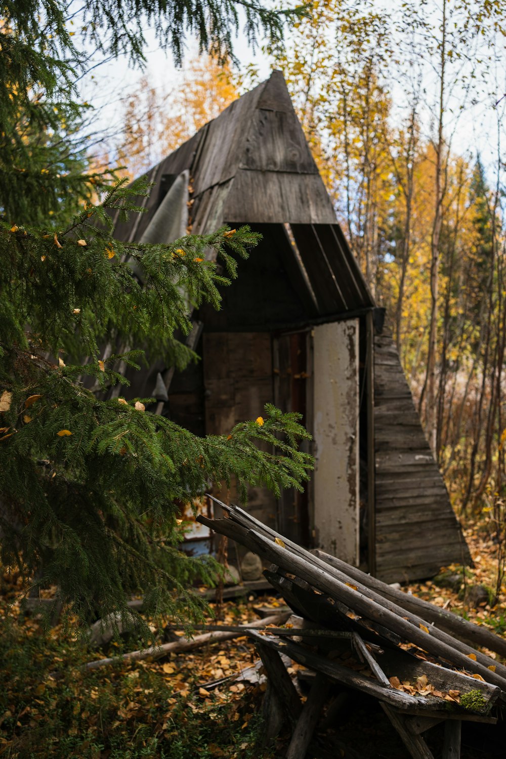 an old run down shack in the woods