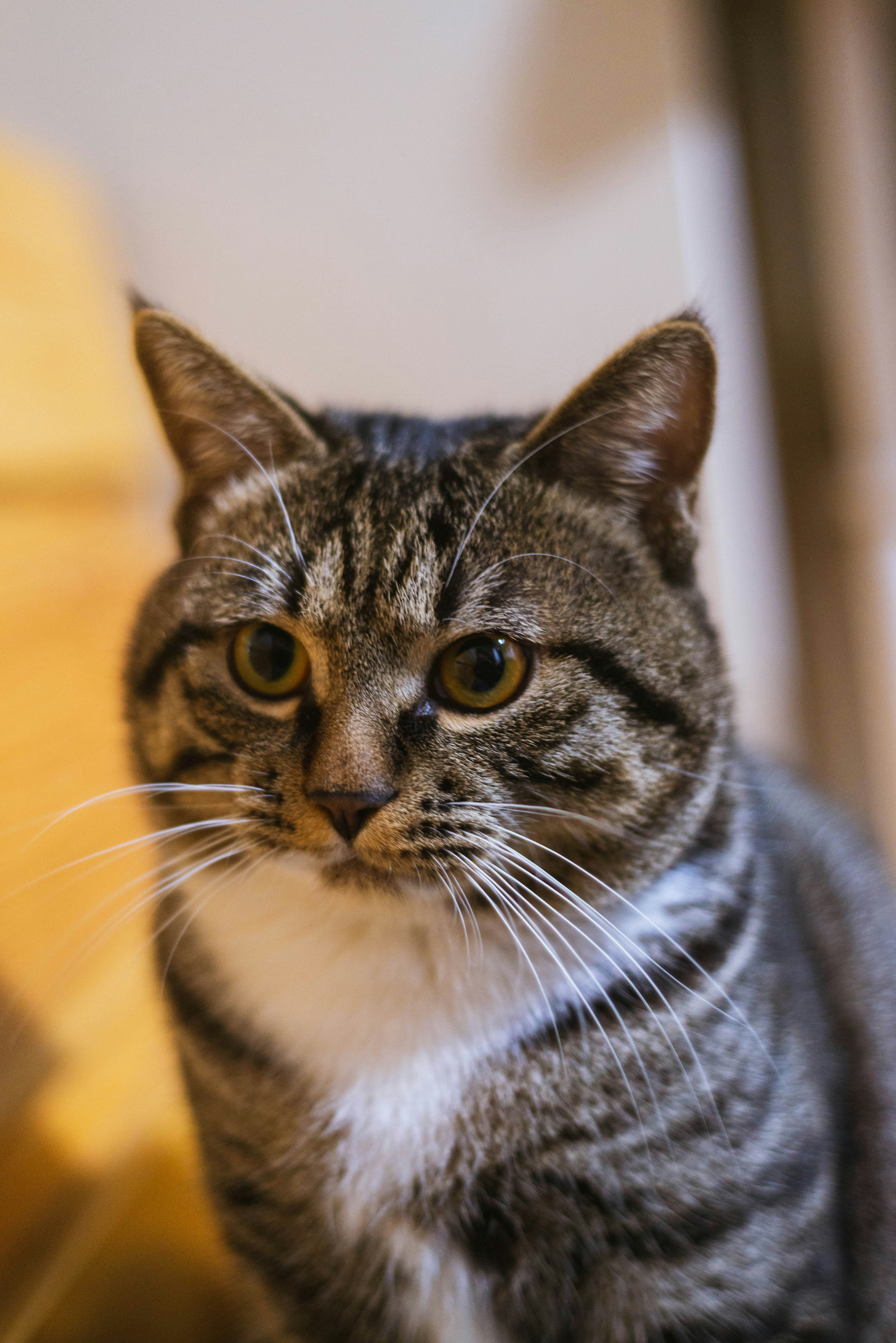 Photo by yooho962464