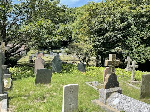 A peaceful, green cemetery with fresh plants and flowers surrounding a simple grave.