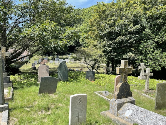 A peaceful cemetery plot surrounded by lush greenery under a clear blue sky.