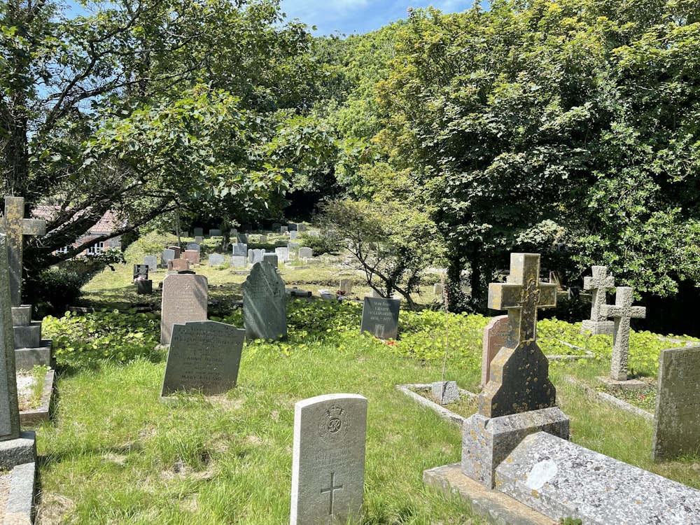 a cemetery with many headstones and trees in the background