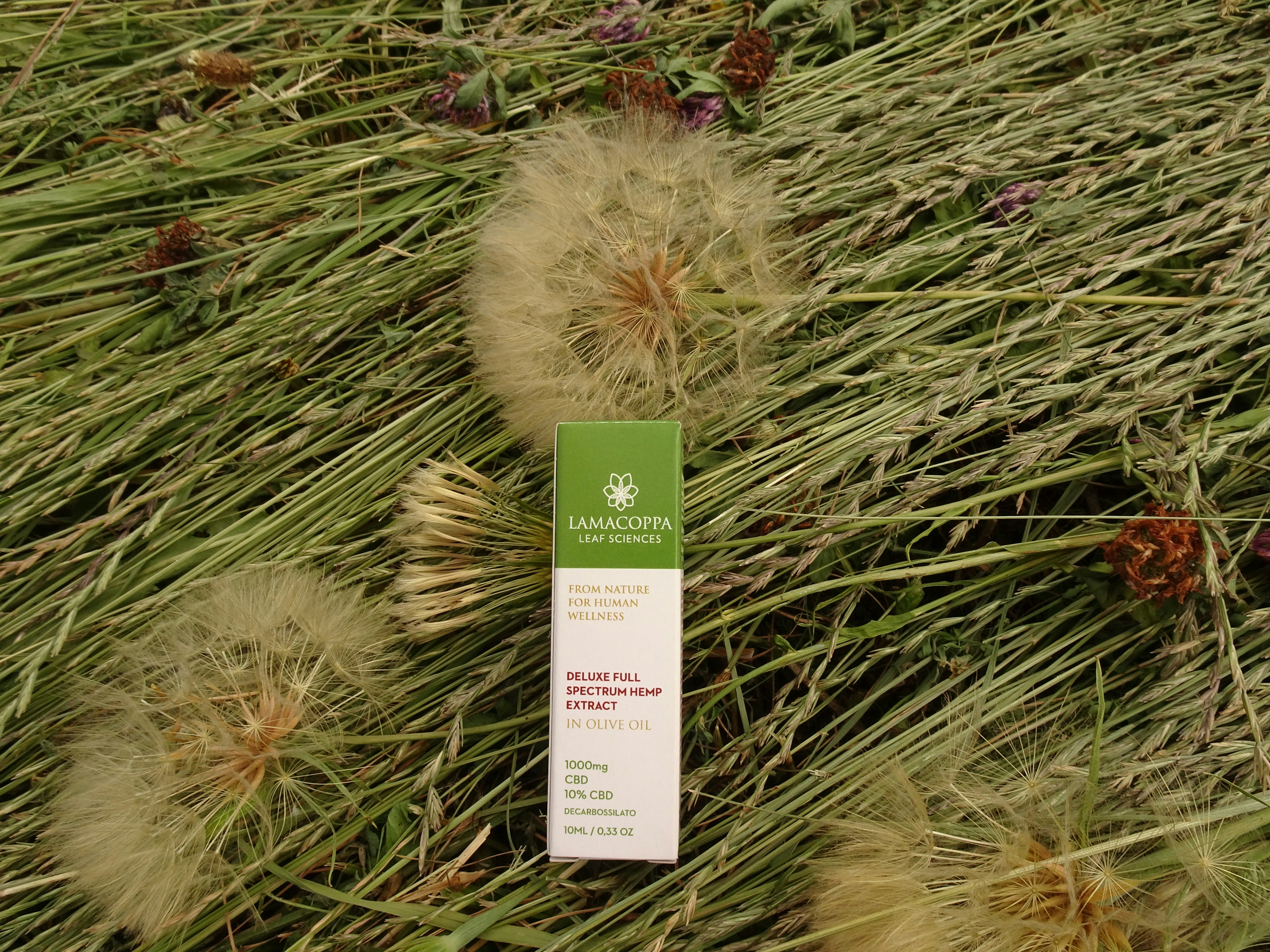 a close up of a tube of toothpaste on a grass field