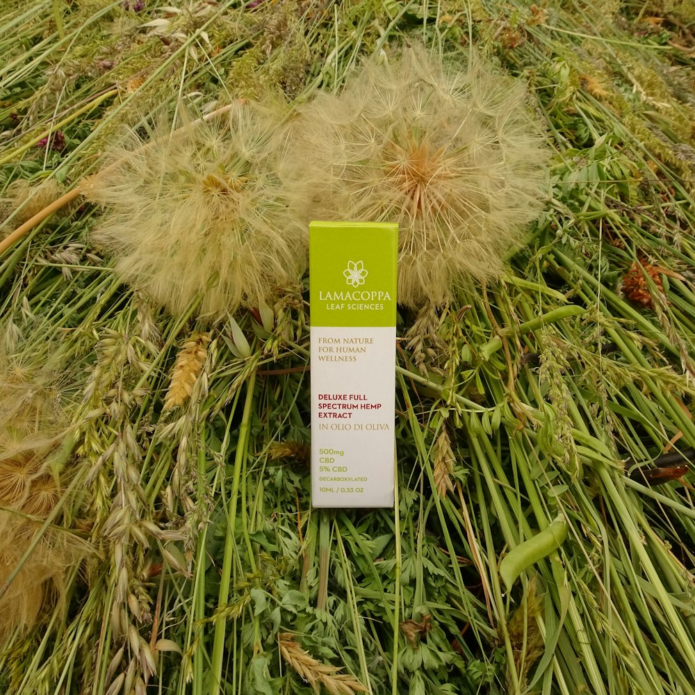 a tube of mamonda on a bed of grass