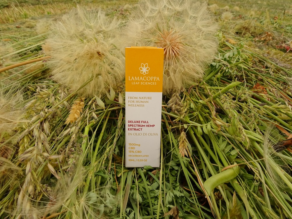 a tube of lotion sitting on top of a grass covered field