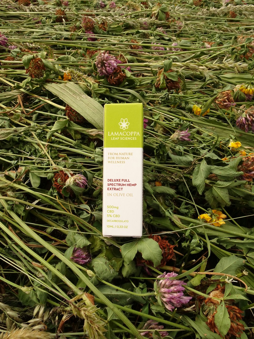 a tube of sunscreen sitting in a field of flowers