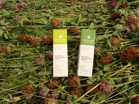 Two rectangular packages of Lamacoppa Leaf Sciences full spectrum hemp extract lie on a bed of green foliage and red clover flowers. The packaging is primarily green and white with floral designs and text indicating the product details.