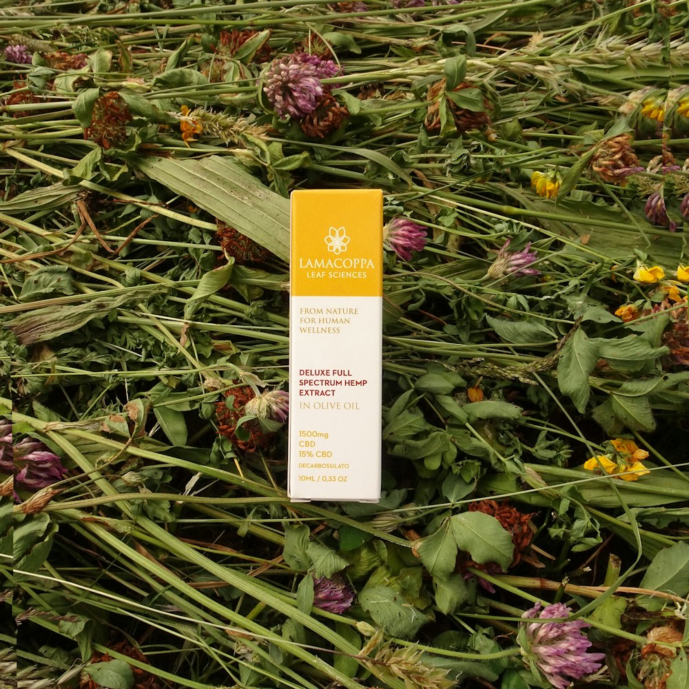 a tube of sunscreen sitting in a field of flowers