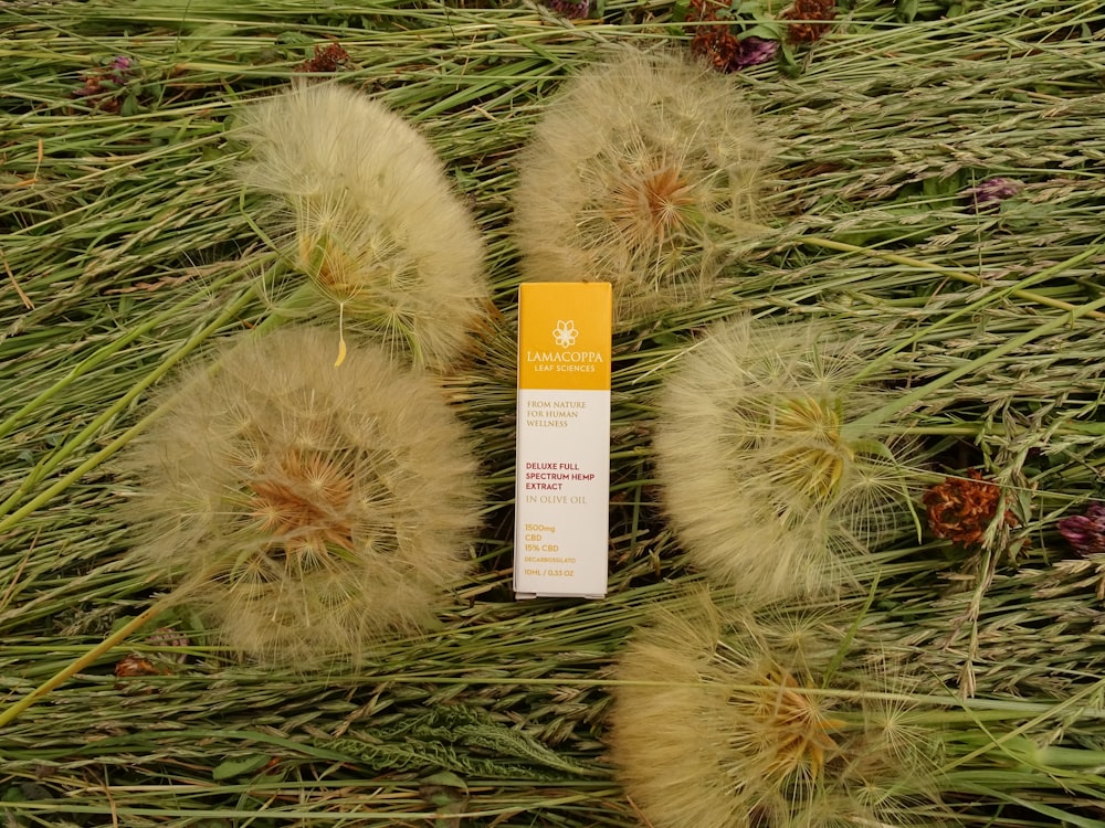 a tube of sunscreen sitting on top of a grass covered field