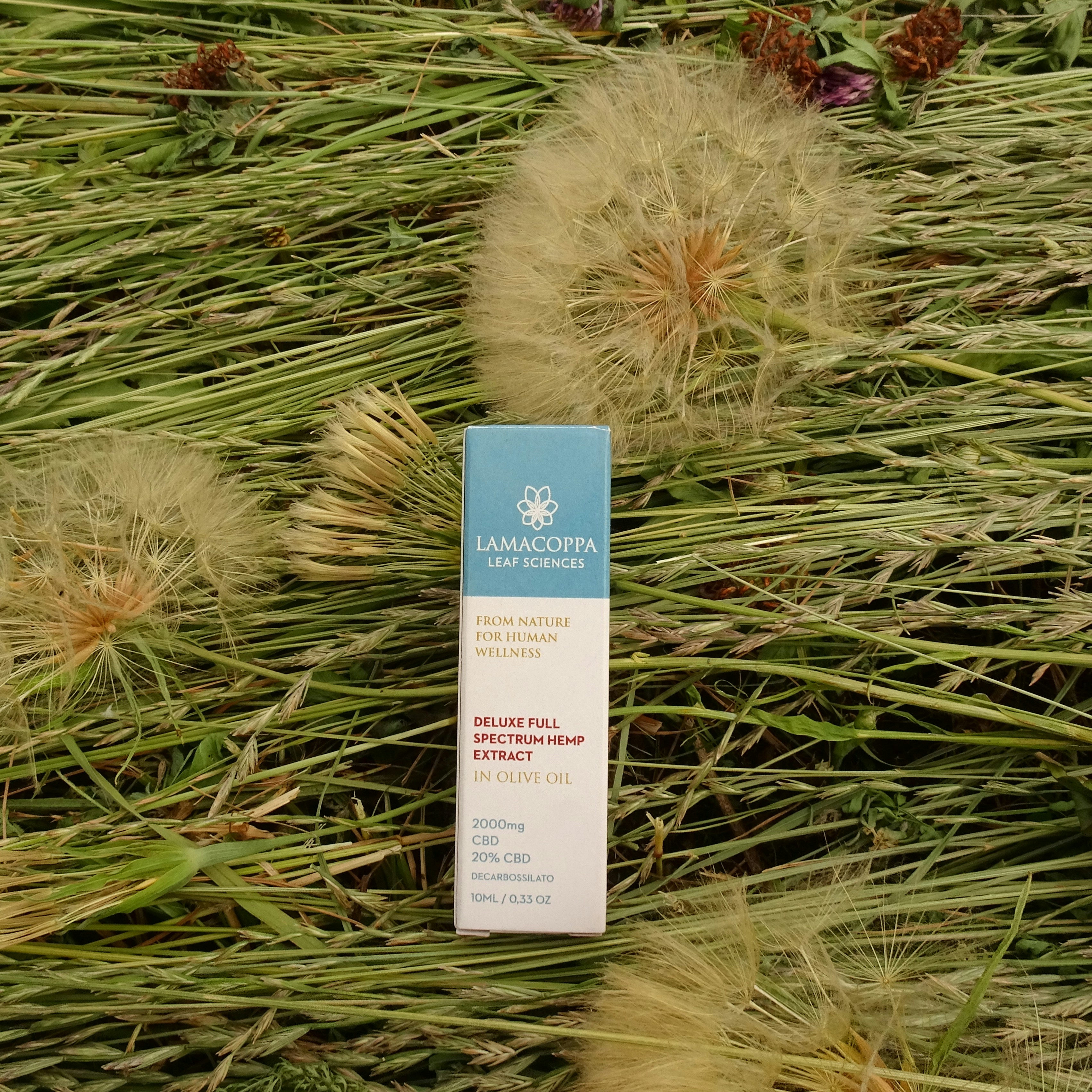 a tube of lotion sitting on top of a grass covered field