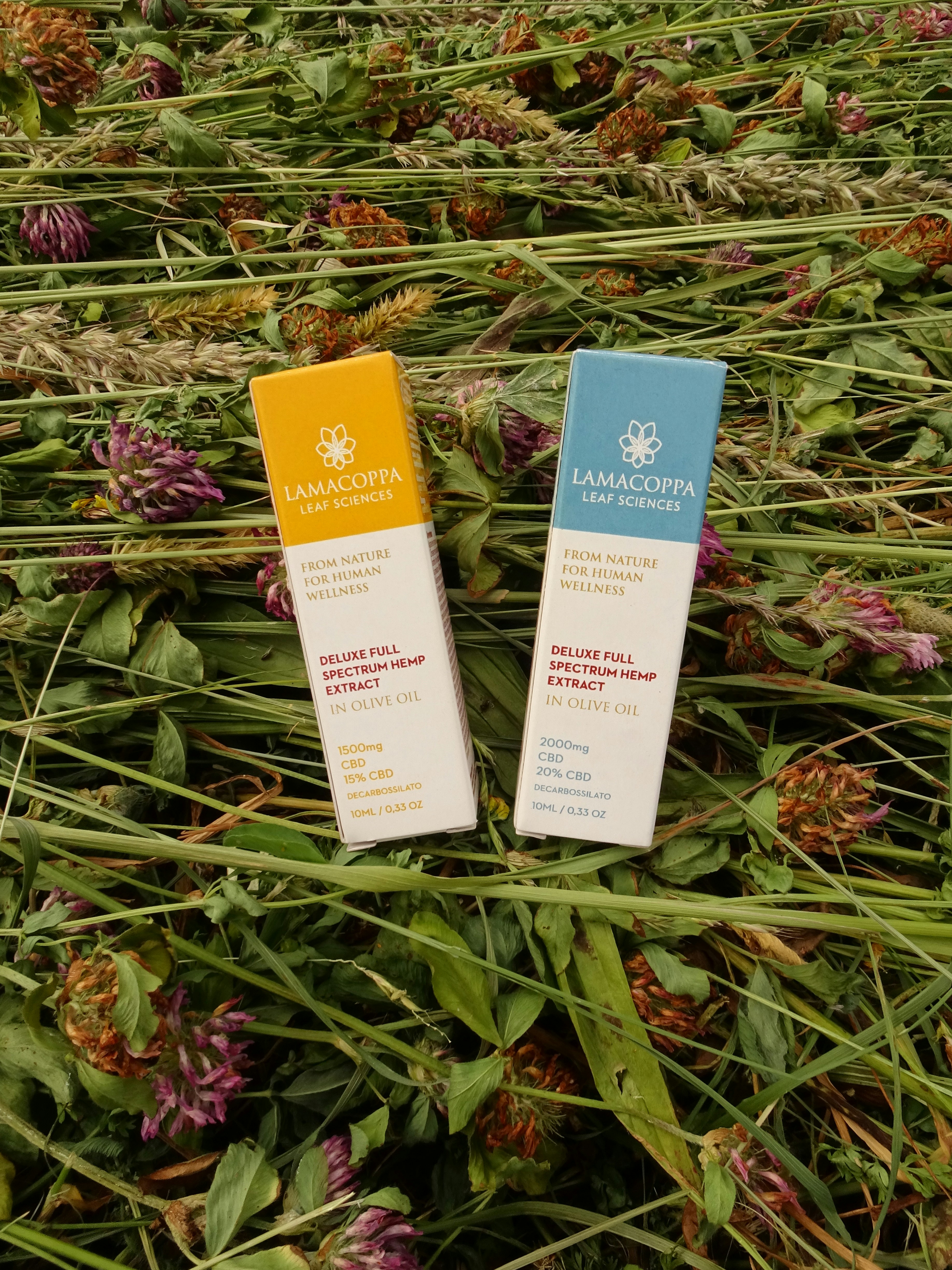 a couple of tubes sitting on top of a field of flowers