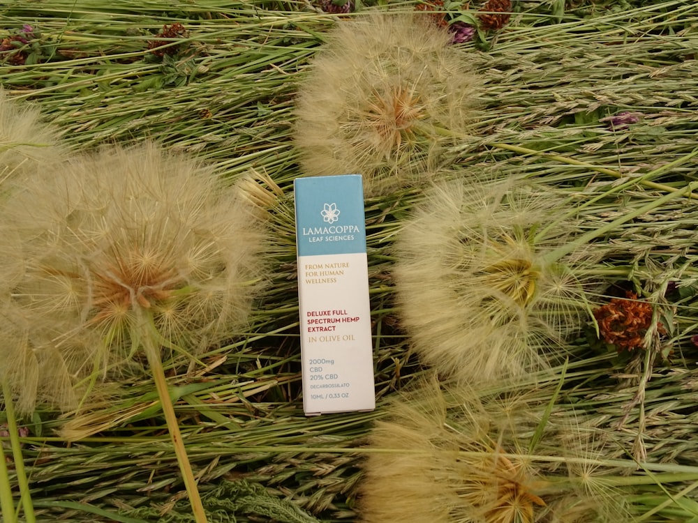 a tube of lotion sitting on top of a field of dandelions