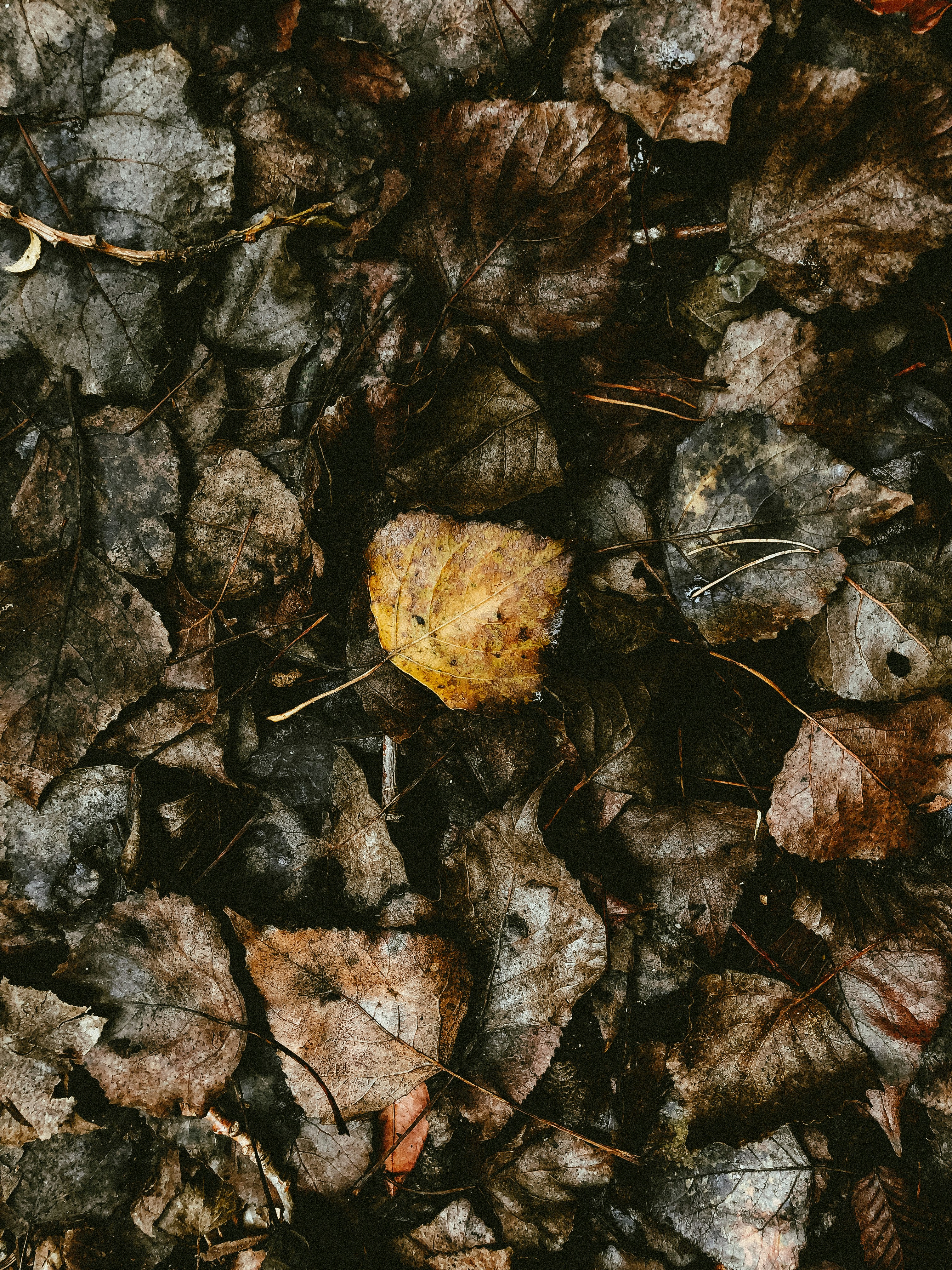 Photo by matreding