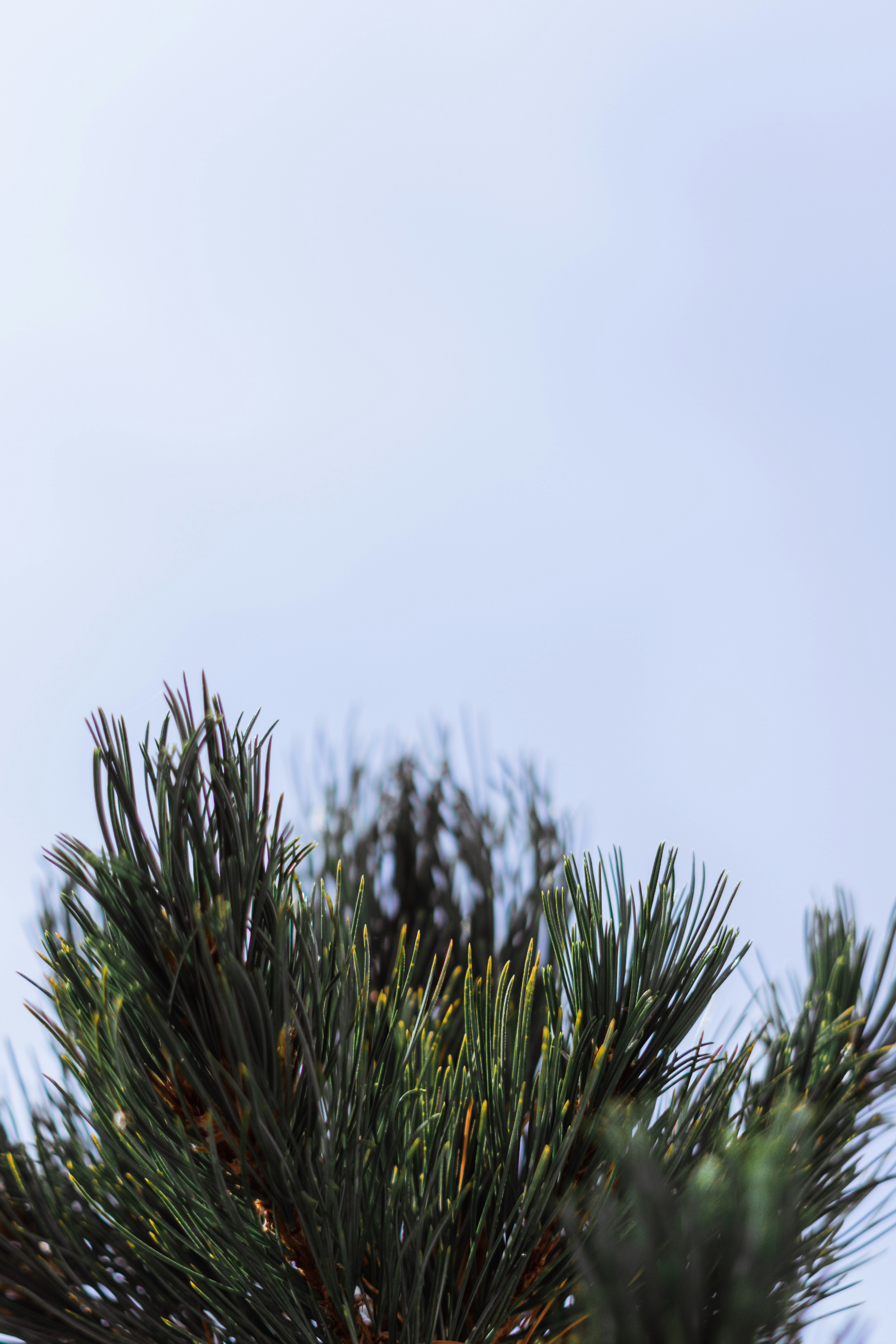 Photo by virussinside