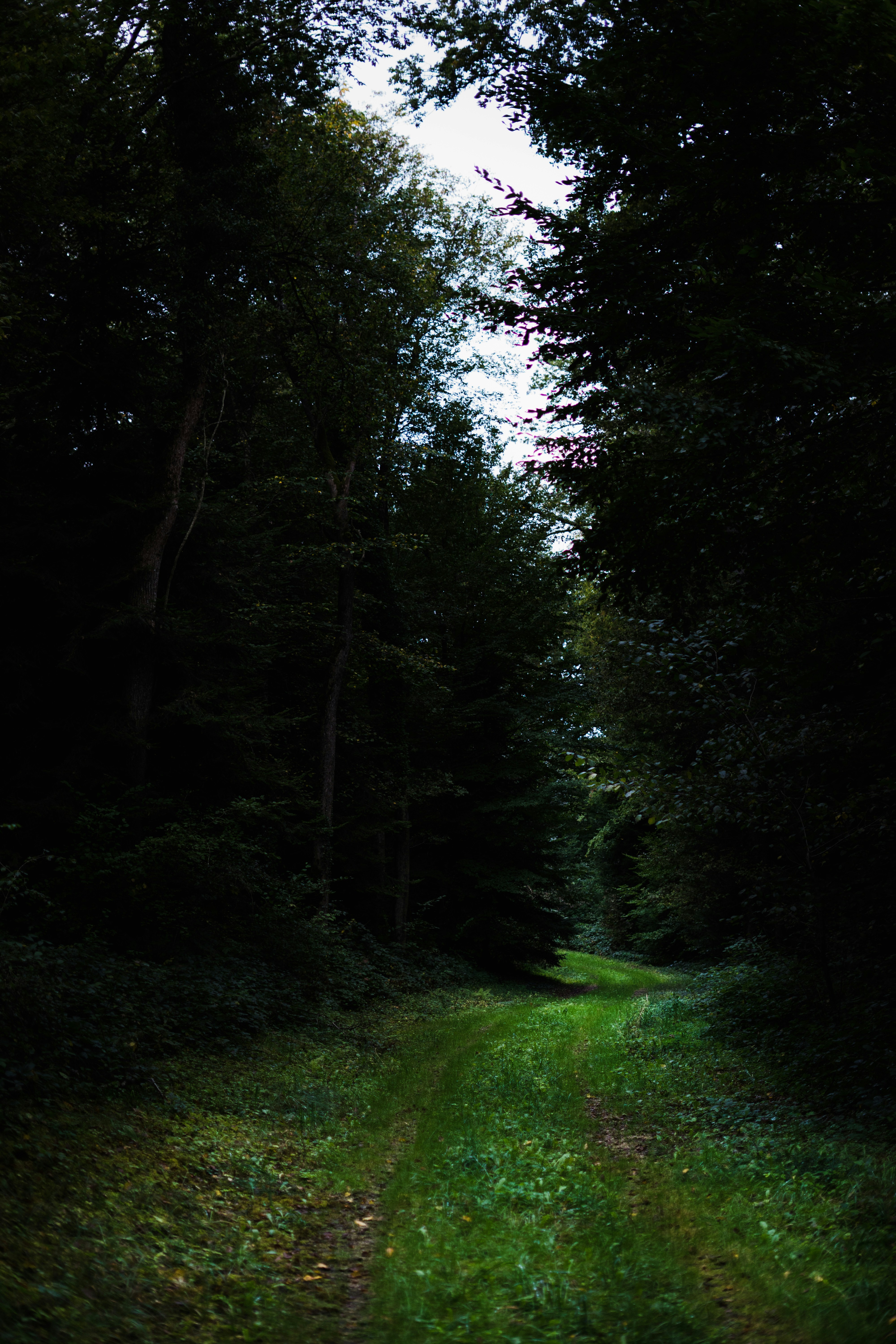 Photo by virussinside