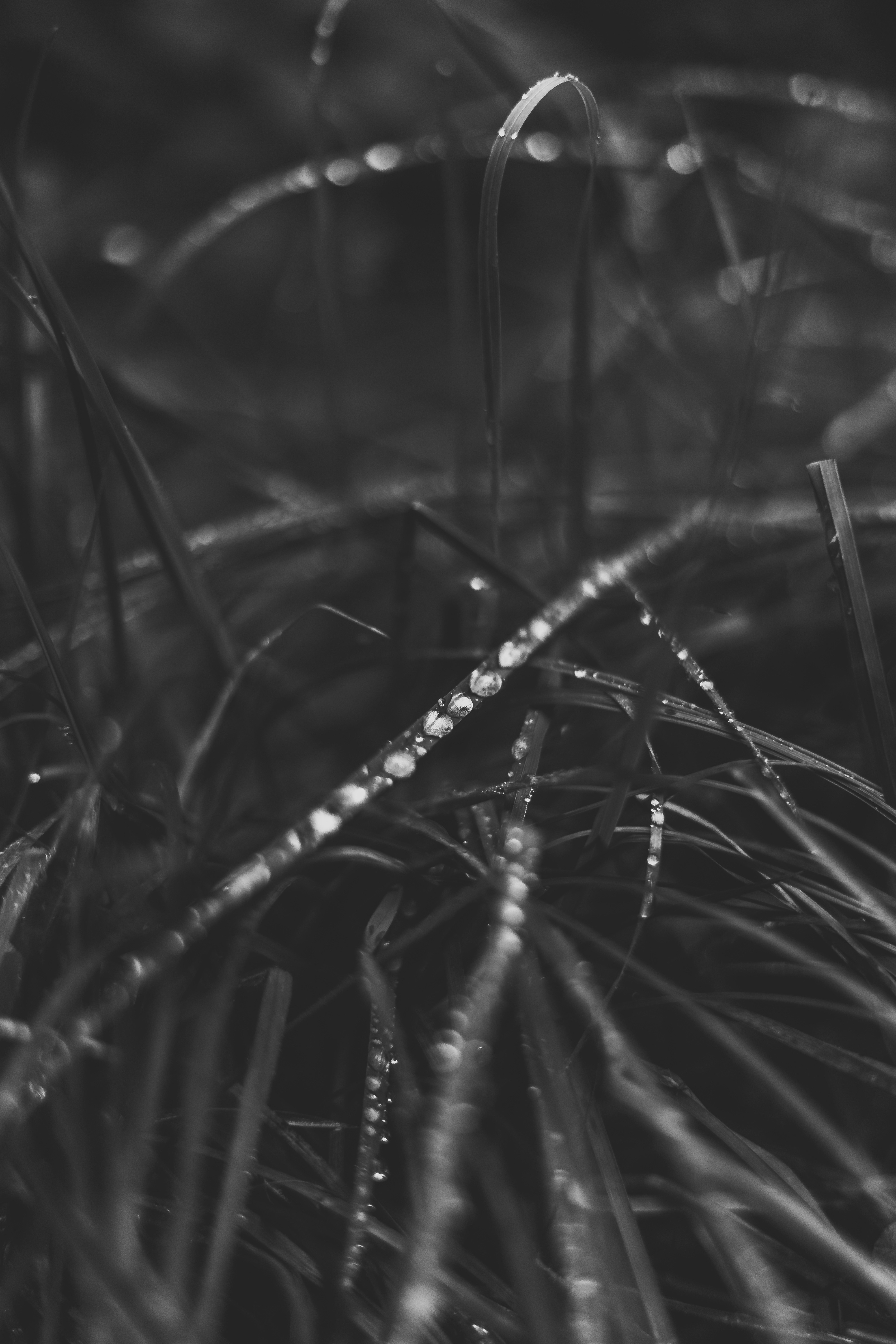 Photo by virussinside