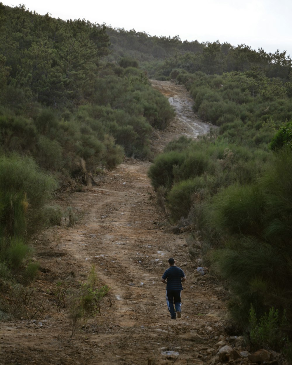 a man walking down a dirt road in the middle of a forest