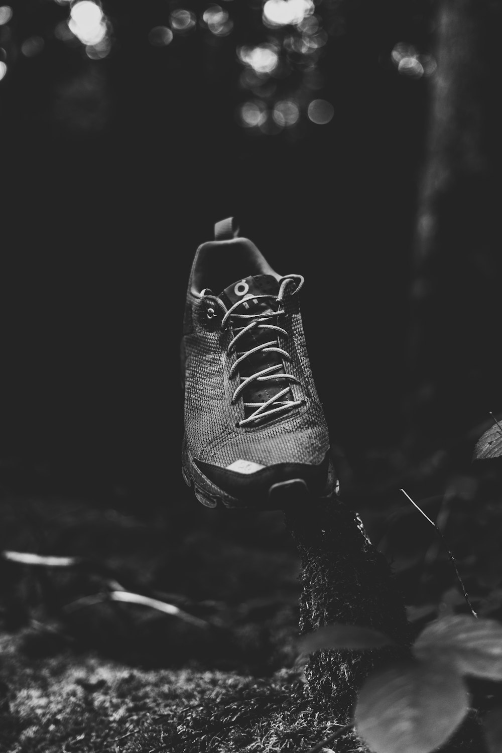 a black and white photo of a shoe on a tree branch