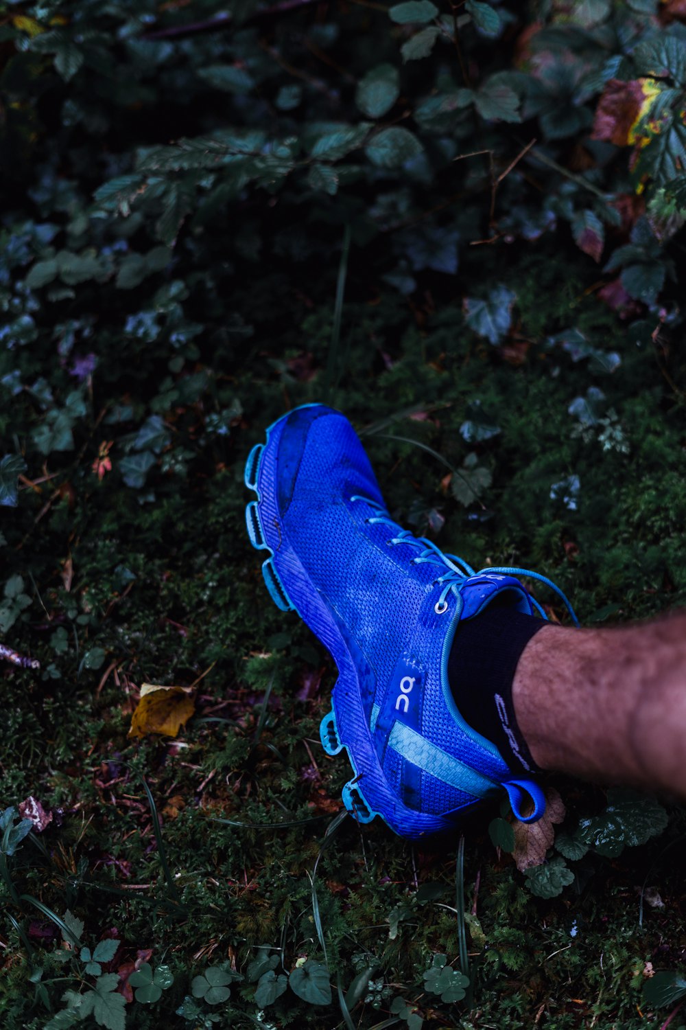 A man is holding a blue shoe in the grass photo – Free Switzerland Image on  Unsplash
