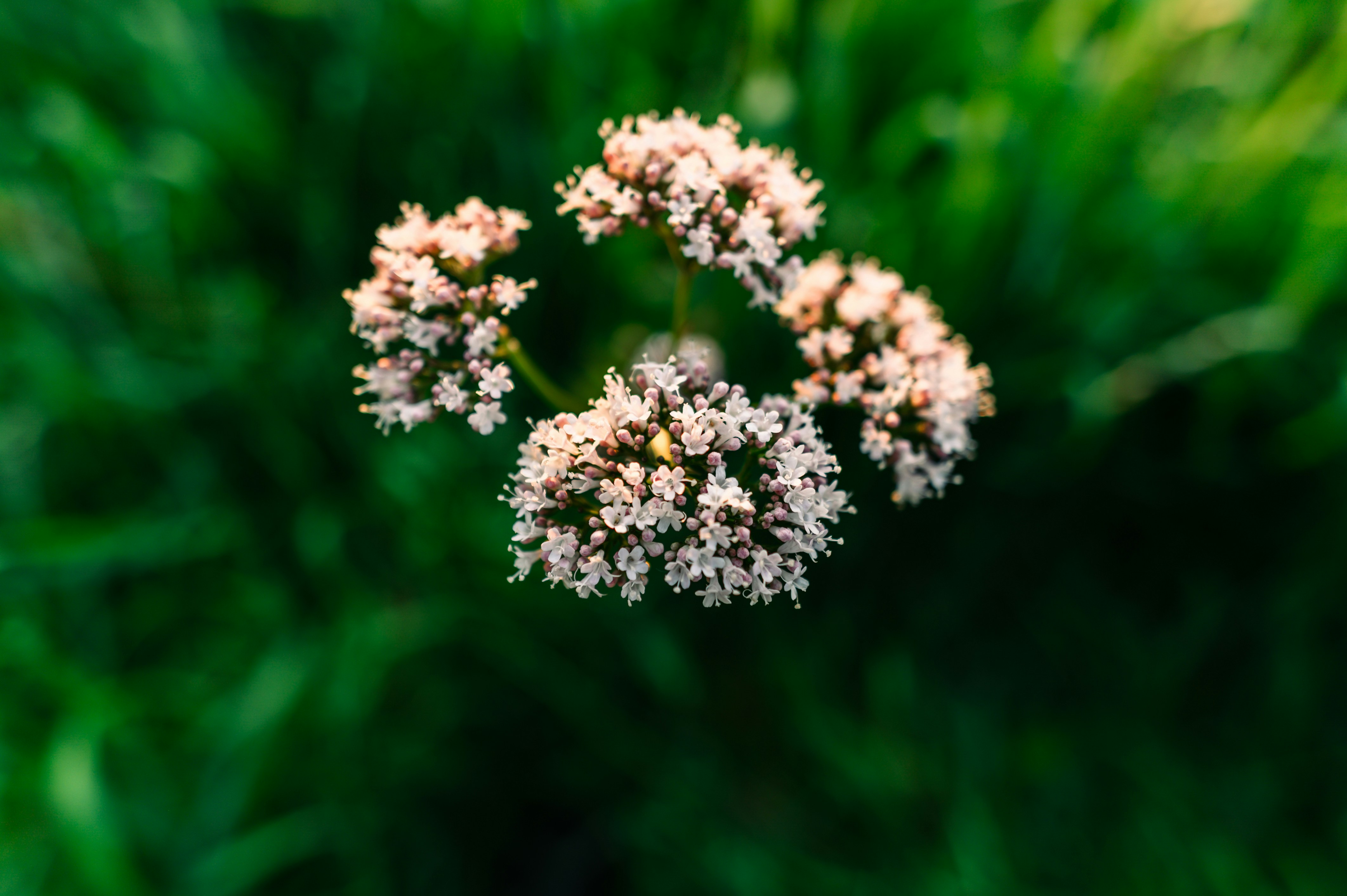 Photo by theoeilertsen