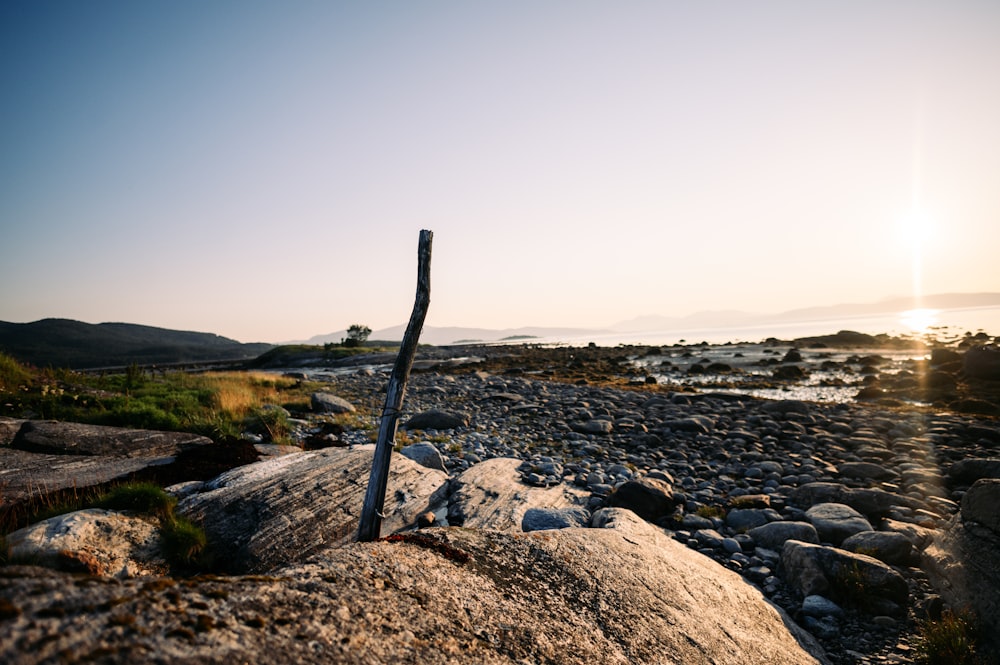 a pole sticking out of the rocks on a beach