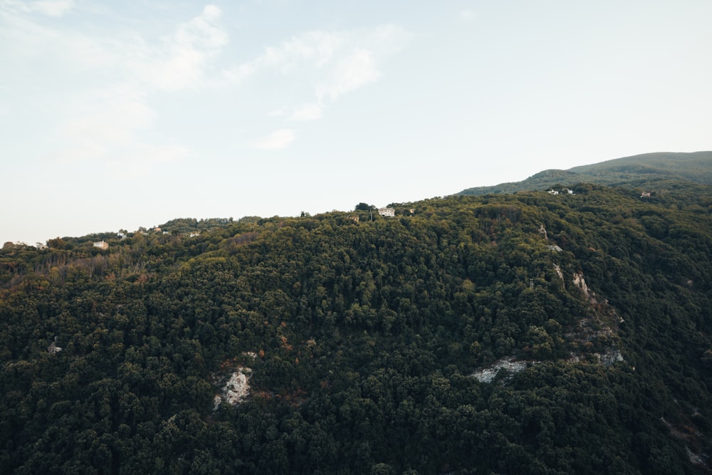 a hill with trees on top of it