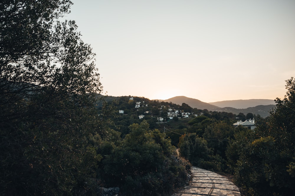 a dirt road surrounded by trees and hills