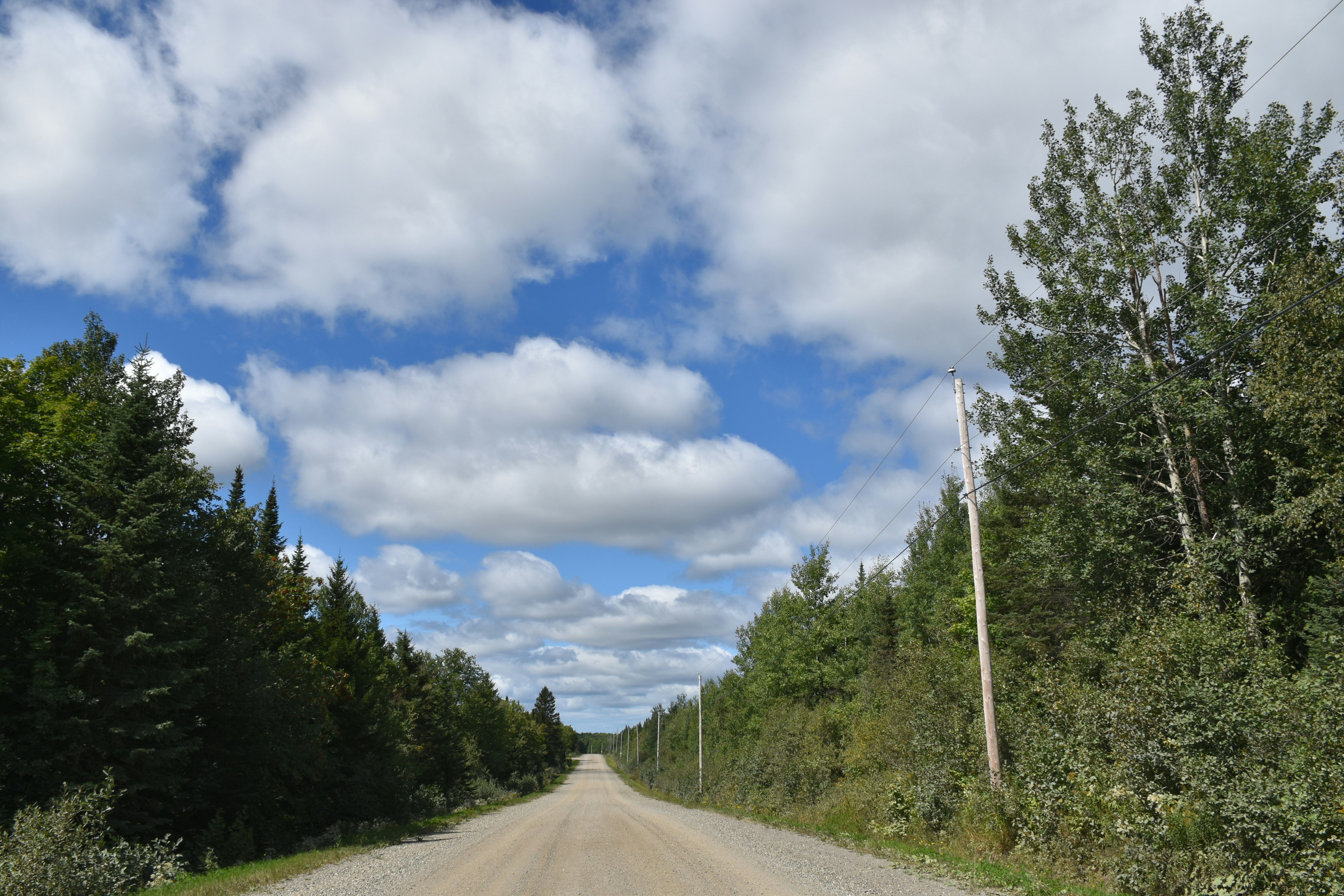 Image de Été 2025 : Résidence Musicale Électronique Exclusive sur les Quais de Seine à Paris pour DJs Émergents