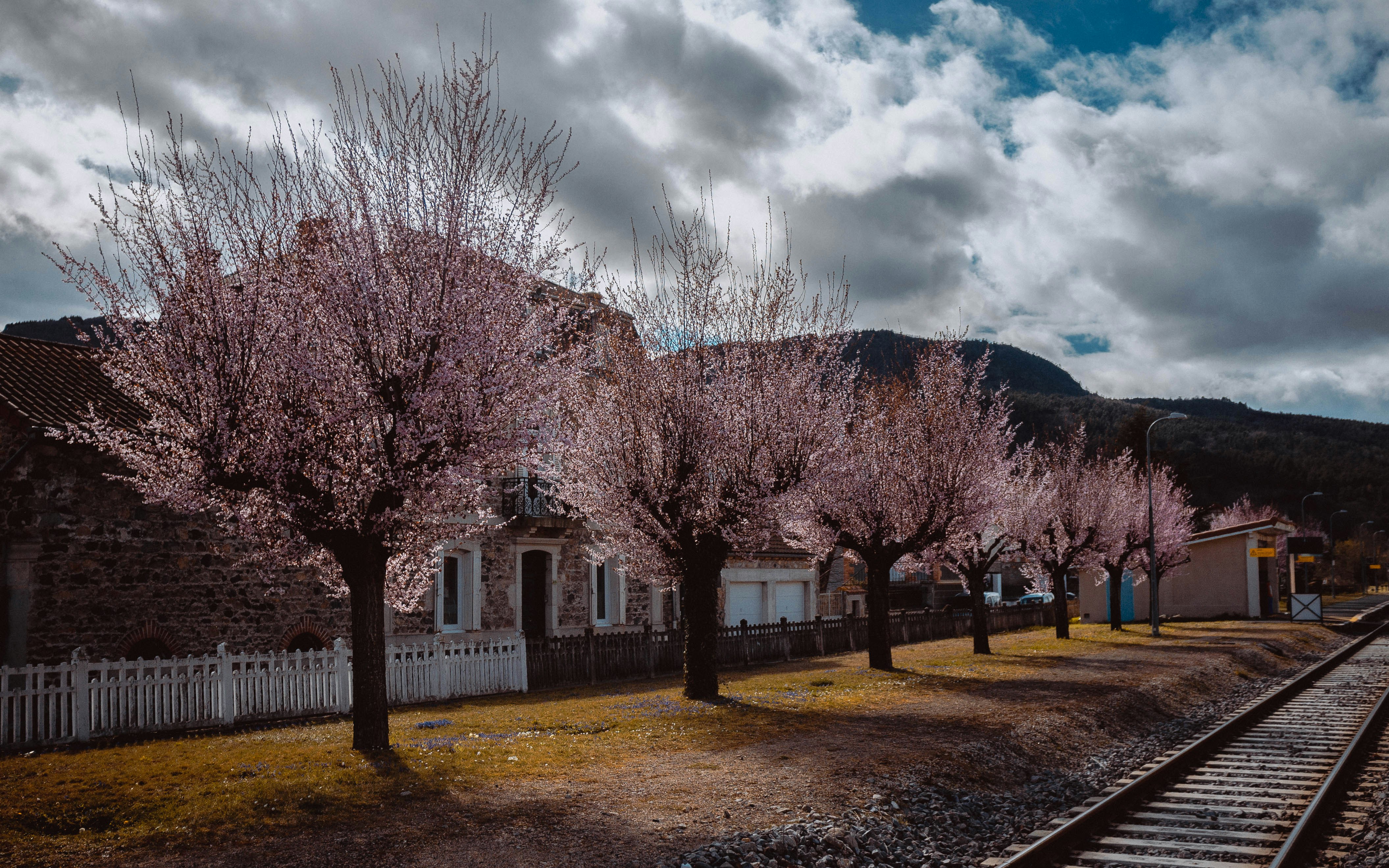 a train track with trees and a building in the background