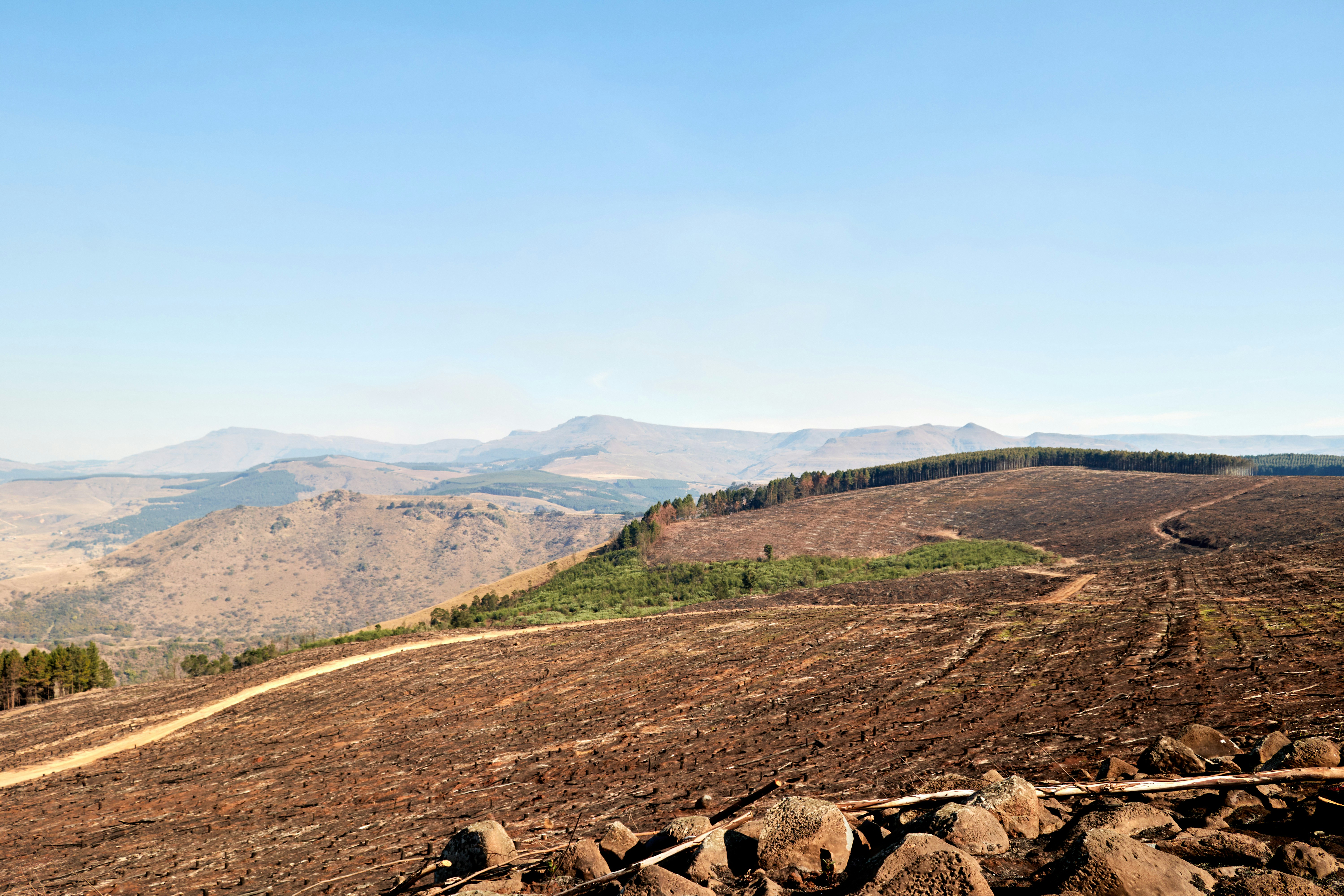 Photo by sphamandlabix