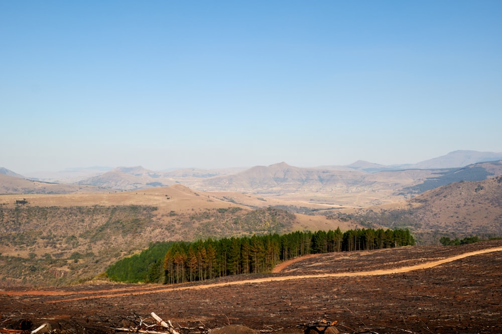 a view of a mountain range with trees in the foreground