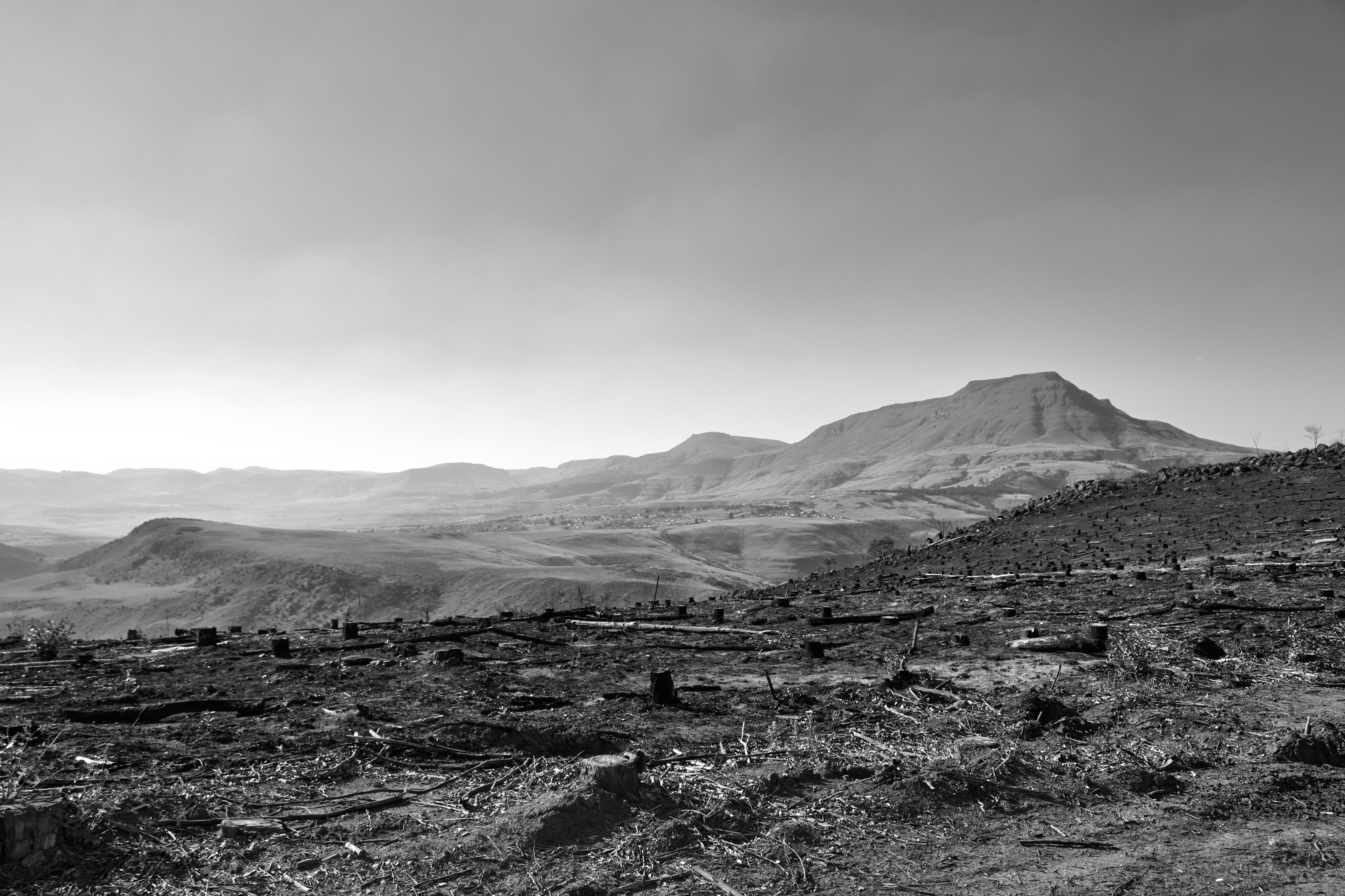 Photo by sphamandlabix