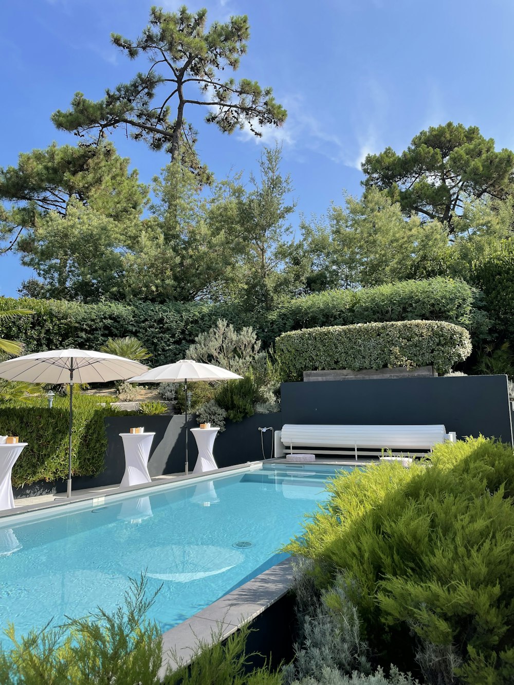 a swimming pool surrounded by trees and bushes