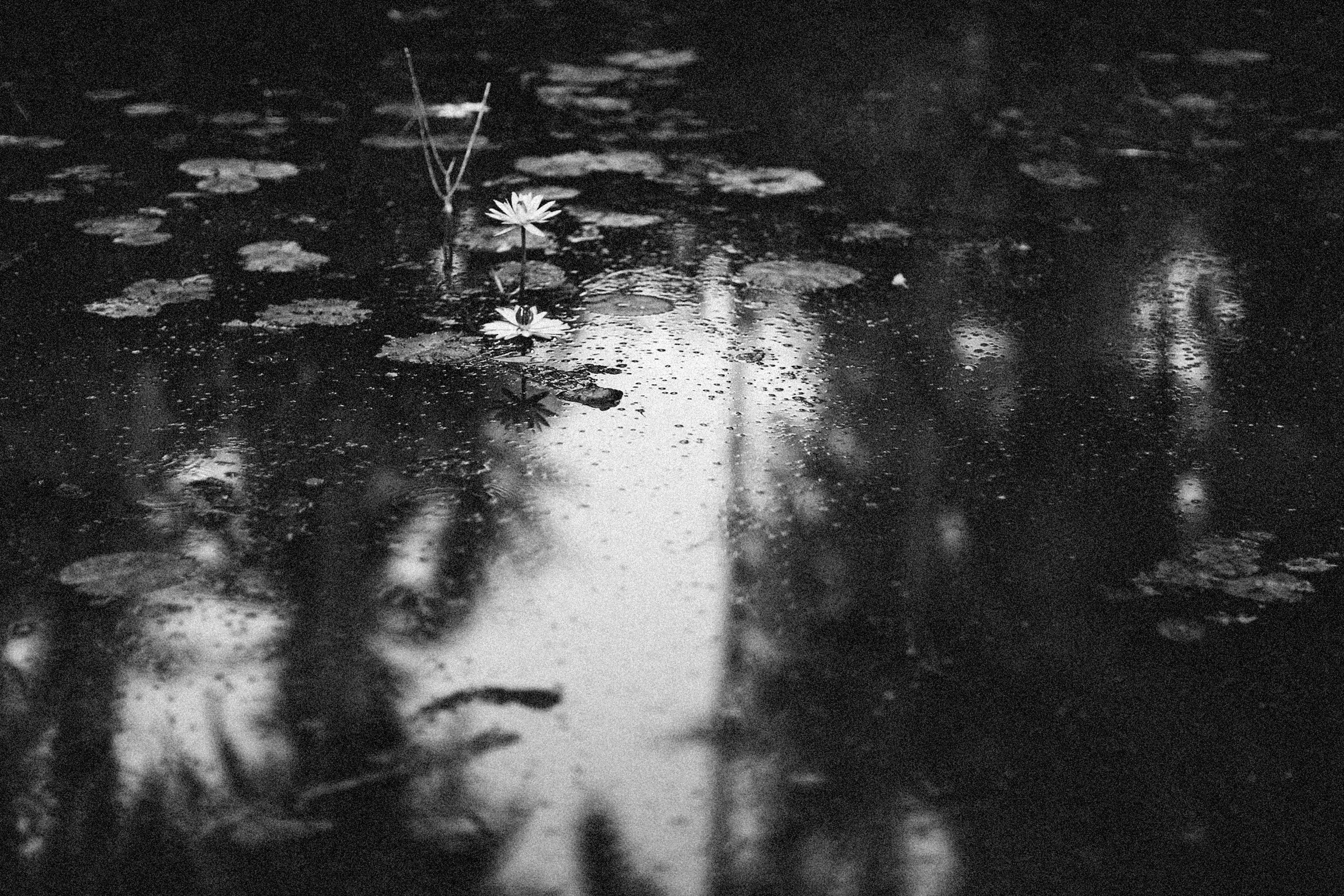 Photo by alexeydemidov