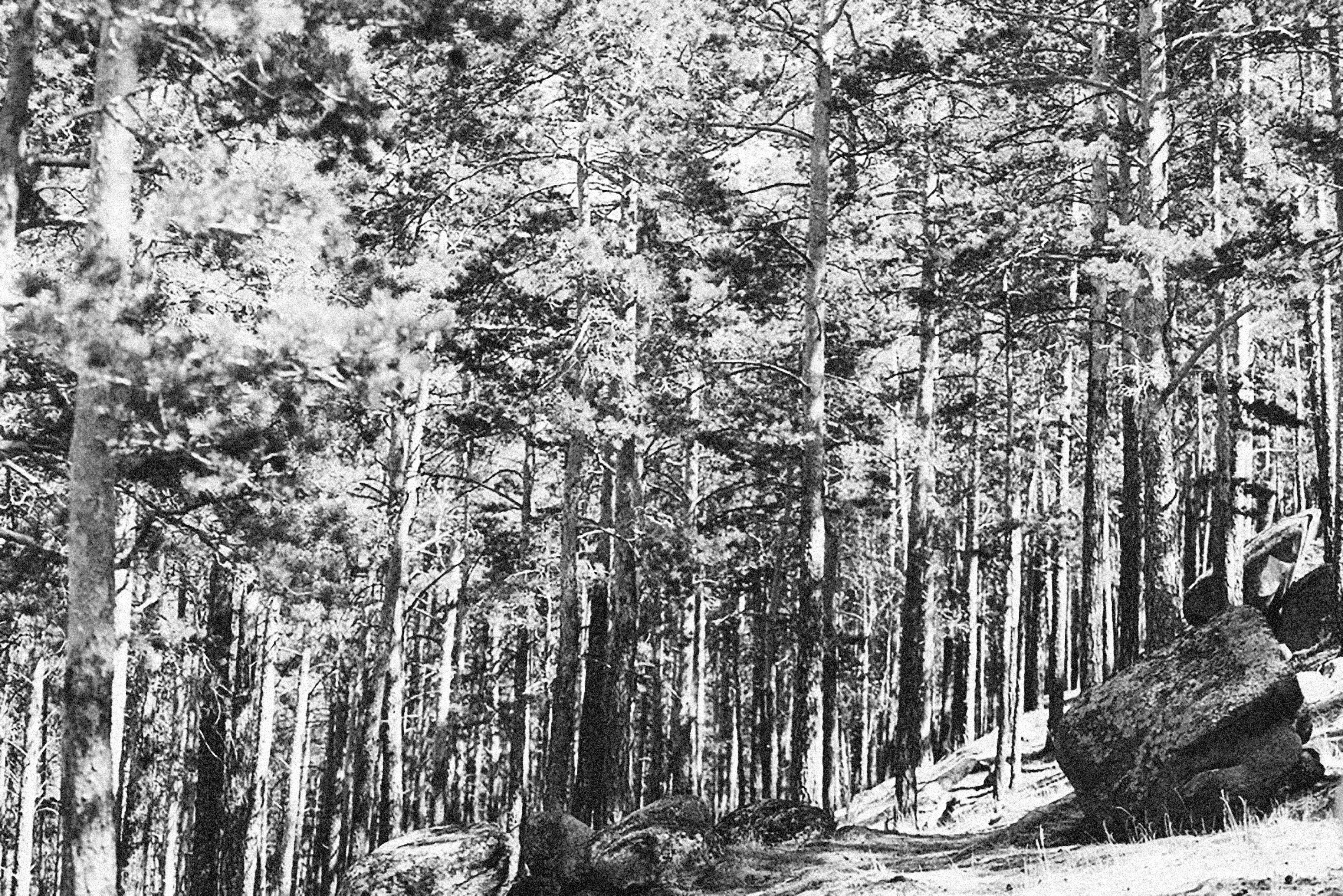 Photo by alexeydemidov