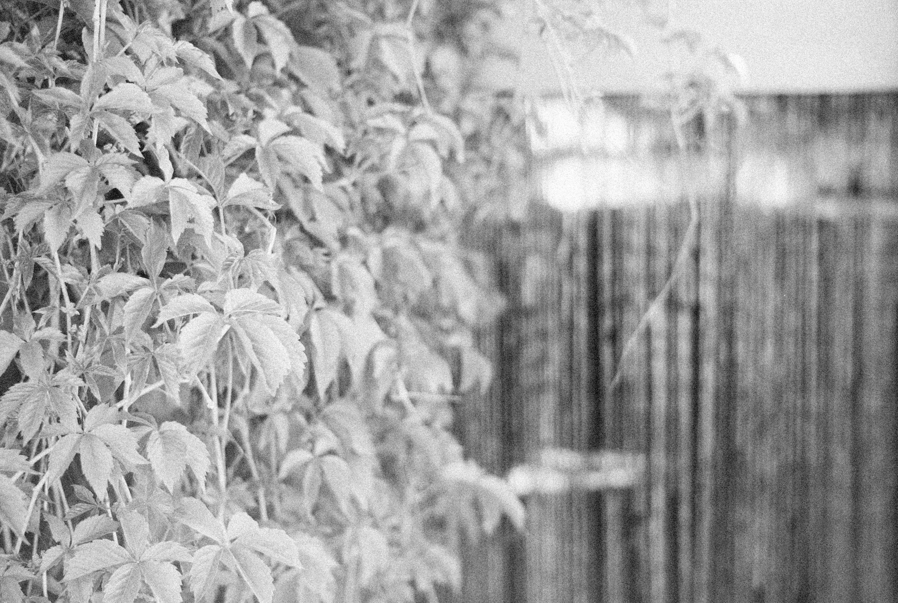 Photo by alexeydemidov