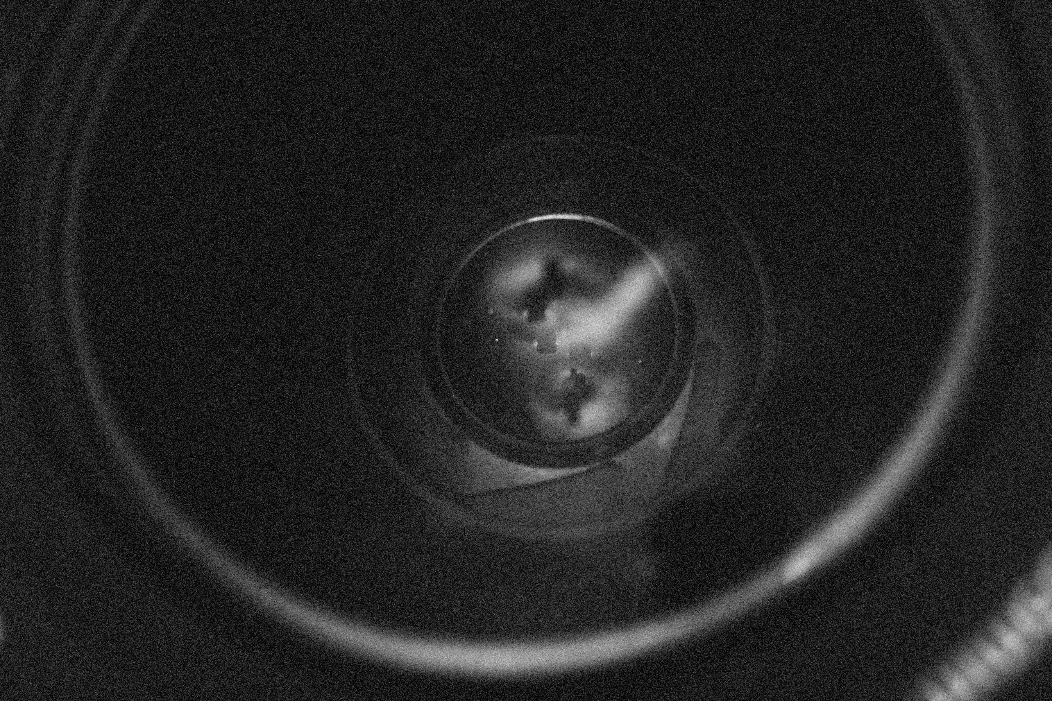 Photo by alexeydemidov