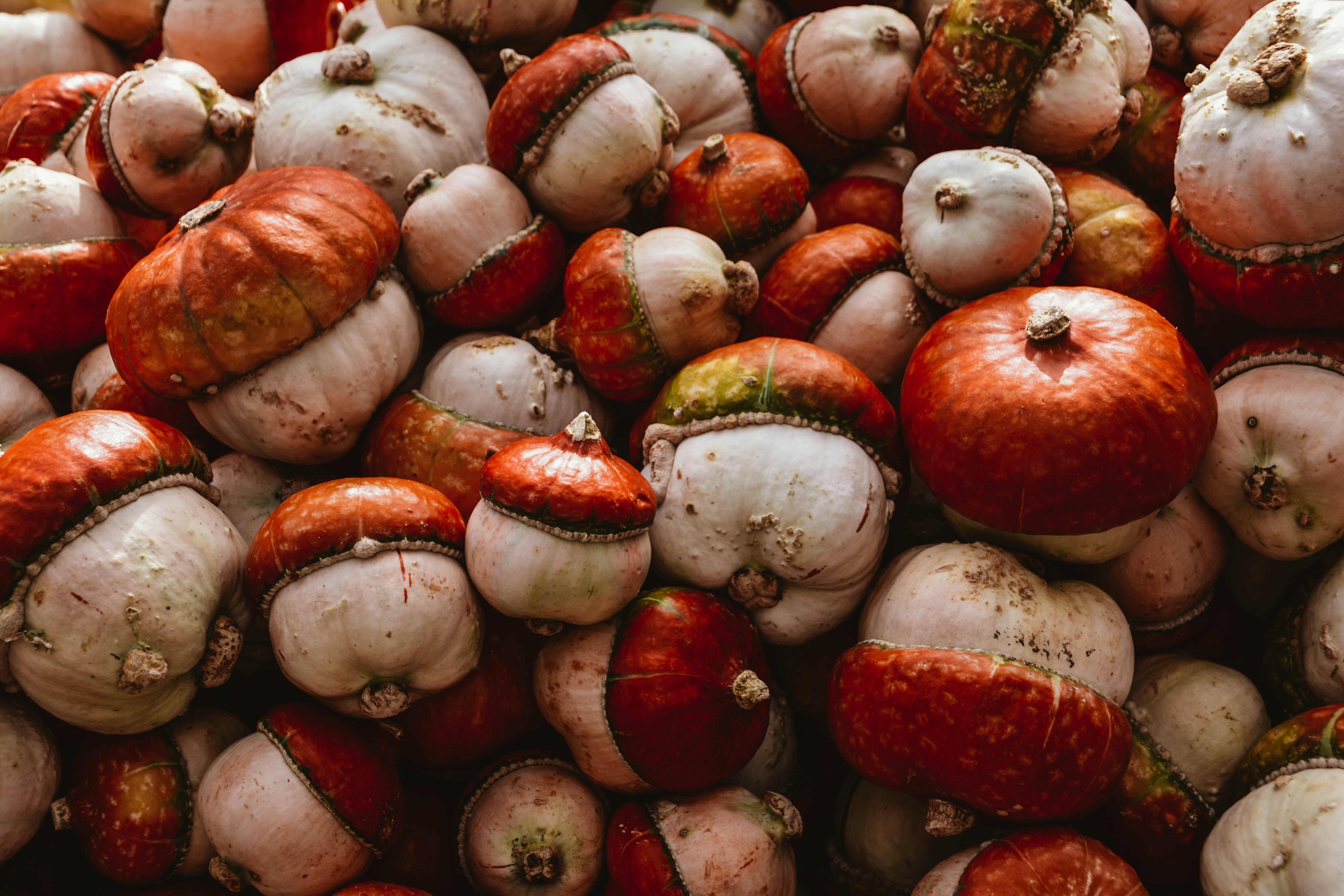 Winter Street Food: The Best Seasonal Dishes to Warm Your Soul