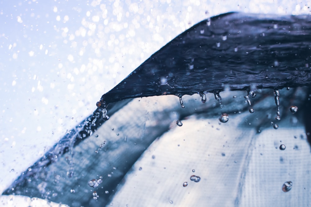 a person holding an umbrella in the rain