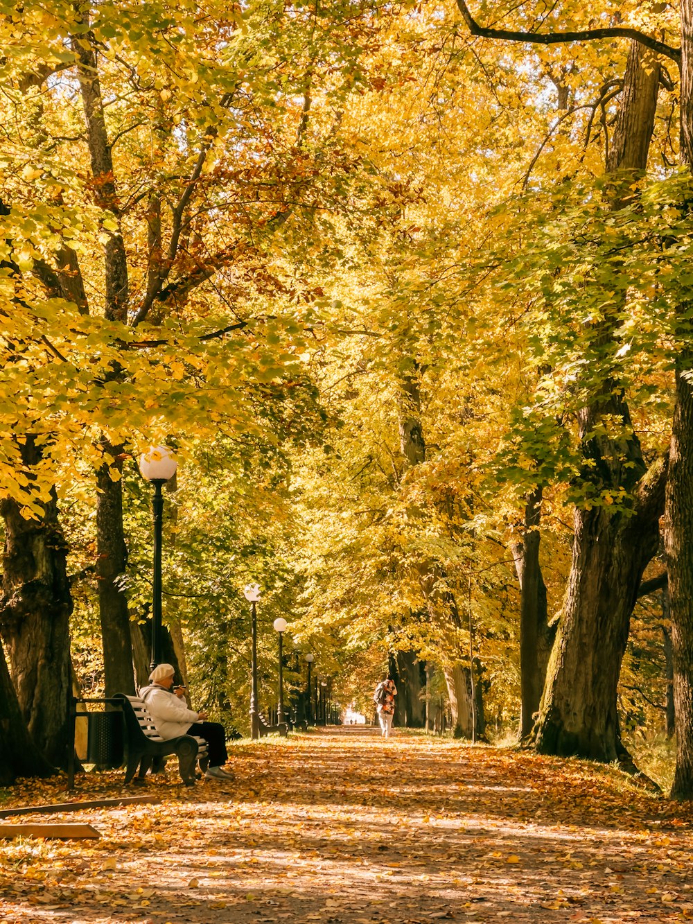 a person sitting on a bench in a park