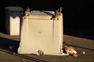 a couple of birds sitting on top of a trash can