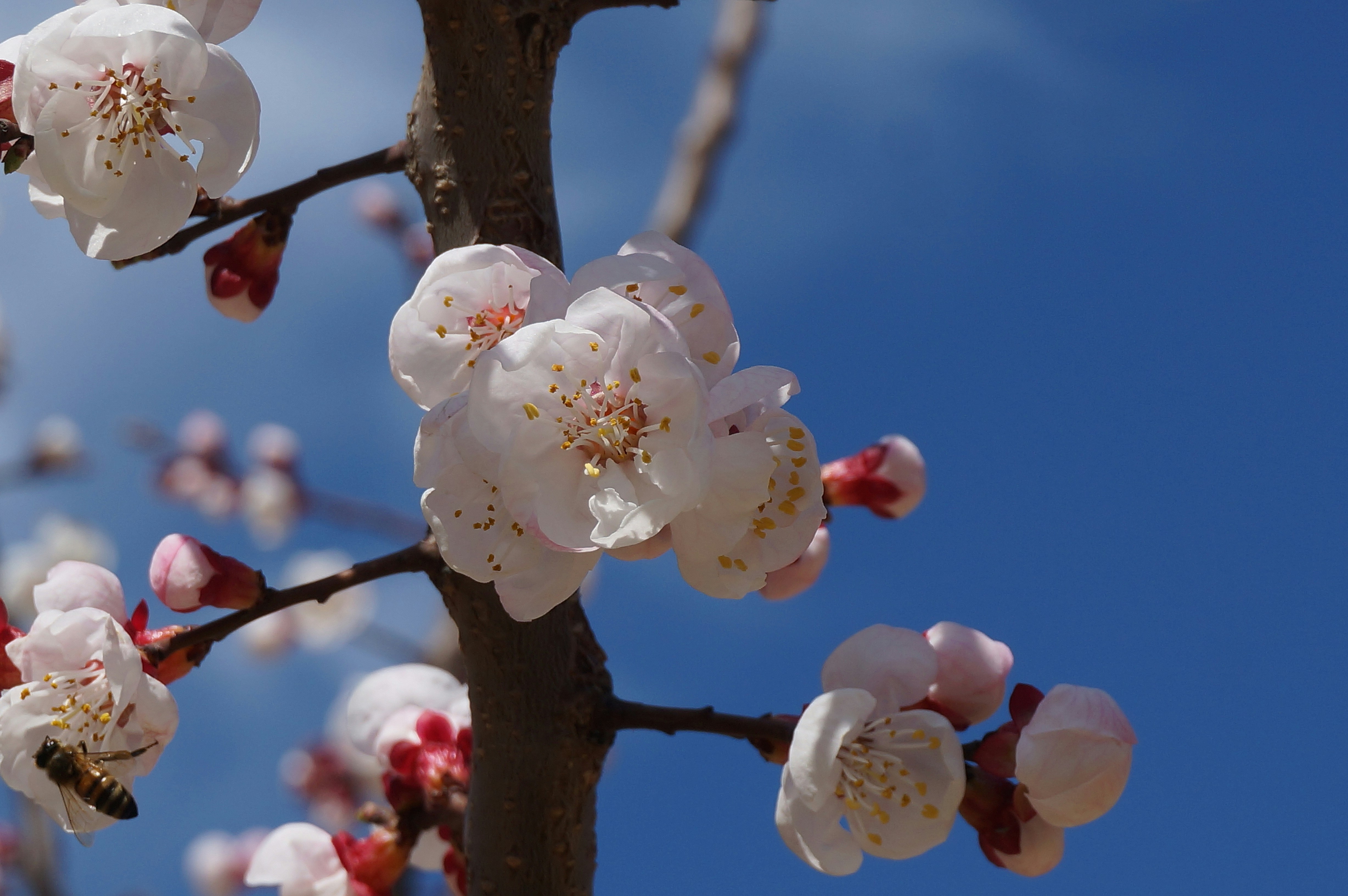 Photo by shinerising