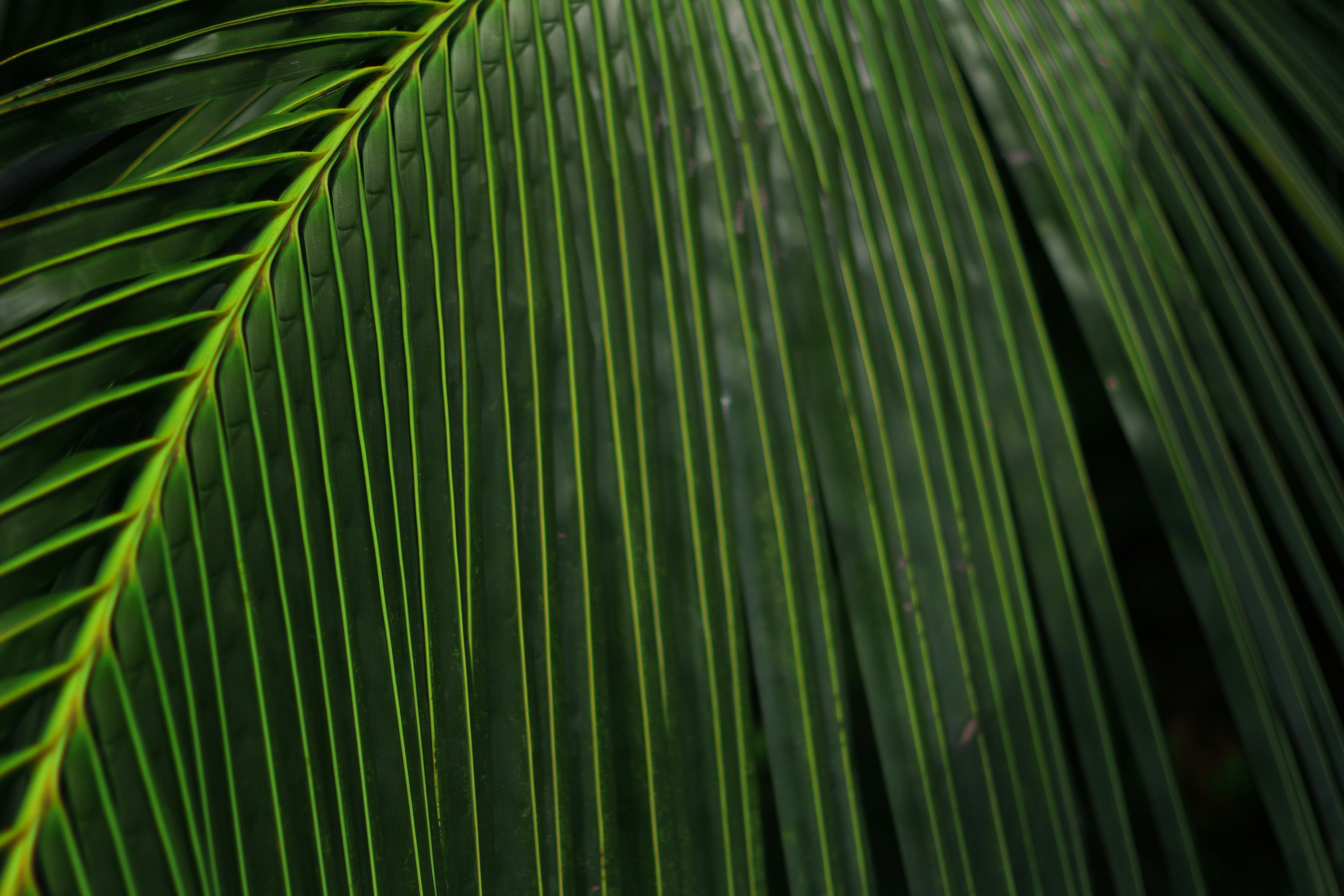 Photo by southern_scenes